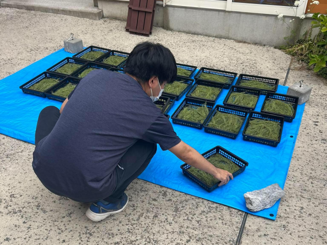 乾燥・袋詰め作業